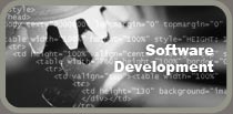 Software Development